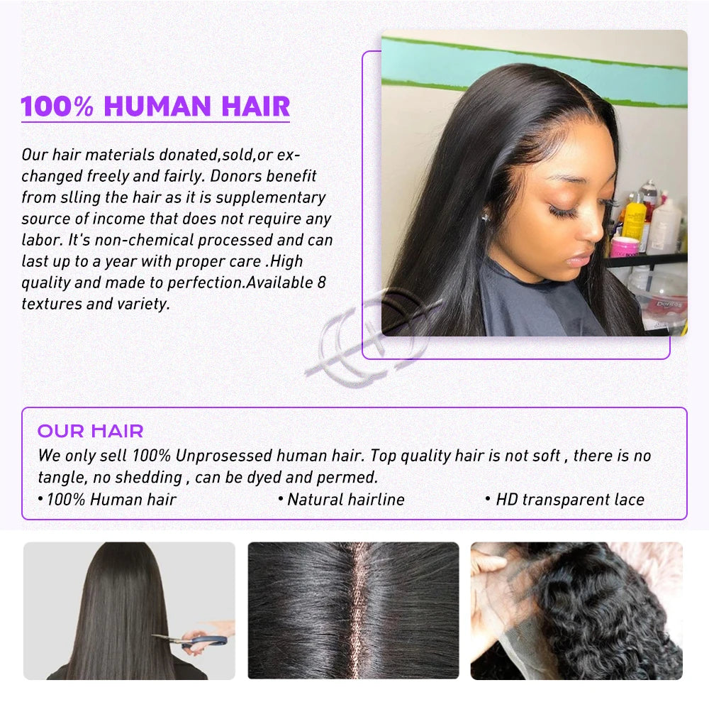 Human Hair Pre Plucked 360 Wig